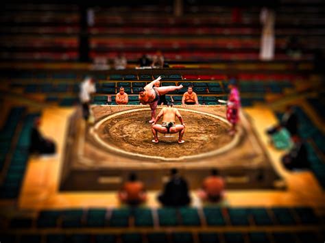 ¡Sumo Showdown! Un juego de estrategia y lucha por la supremacía en el ring!